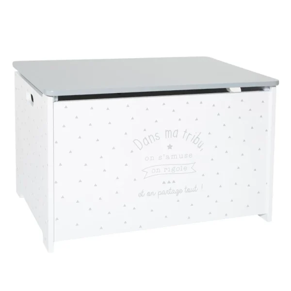 Coffre à Jouets Gris En Bois – L. 58 X L. 38 X H. 38 Cm -PEGANE- REMISE allant 1