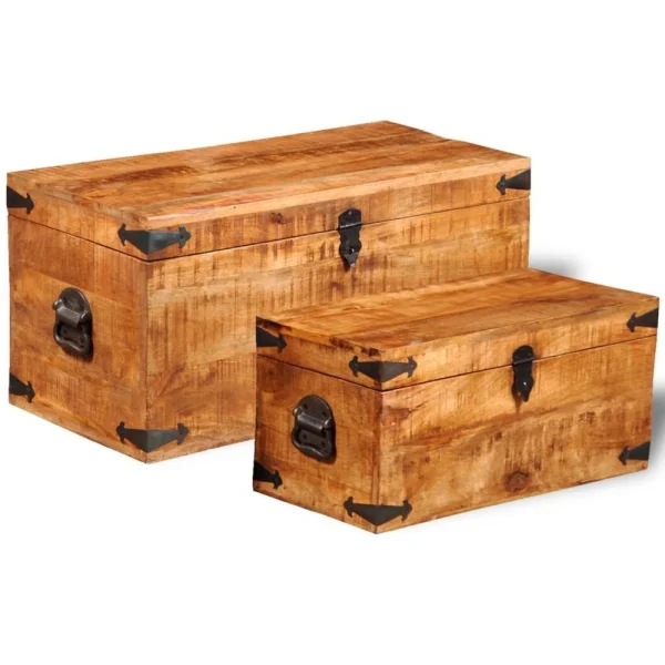 VidaXL Coffre De Rangement 2 Pcs Bois Massif De Manguier soldes officiel 3