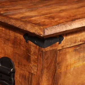 VidaXL Coffre De Rangement Bois Massif De Manguier fashion pas cher 9