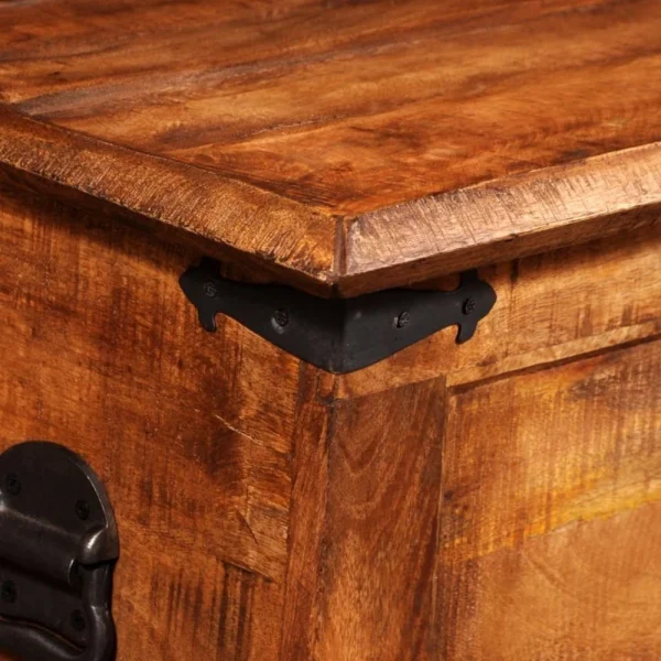 VidaXL Coffre De Rangement Bois Massif De Manguier fashion pas cher 3