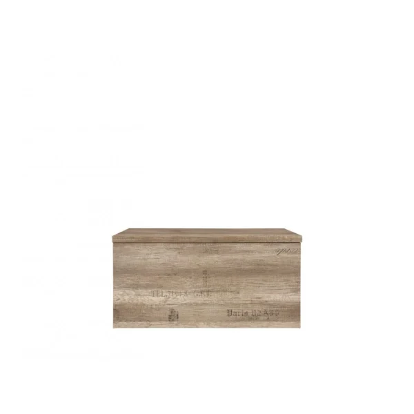 Hucoco LISETTO | Coffre Malle Pour Salon Chambre Adulte Et Chambre Ado | Styl… commentaire favorable 3