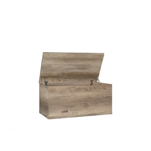 Hucoco LISETTO | Coffre Malle Pour Salon Chambre Adulte Et Chambre Ado | Styl… commentaire favorable 4