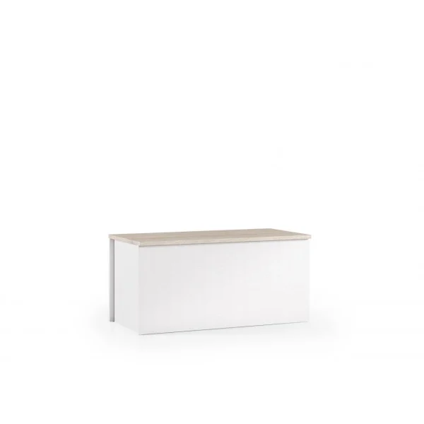 Service Clients Dédié ALTER Malle Polyvalente, 100% Made In Italy, Grande BoÃ®te De Rangement, C… 1